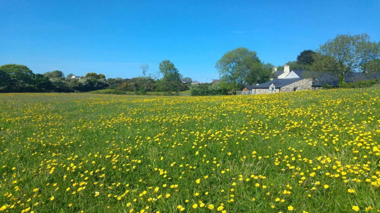 Villa The Barn At Cae Bach Gwalchmai Esterno foto